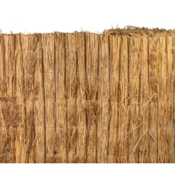 captura-de-pantalla-2024-09-06-165531-standard.png